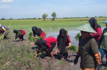 Filosofi Tandur Bagi Orang Jawa