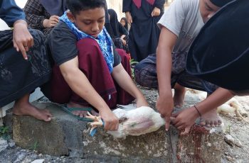 Praktik Menyembelih Ayam Sak Masak-é